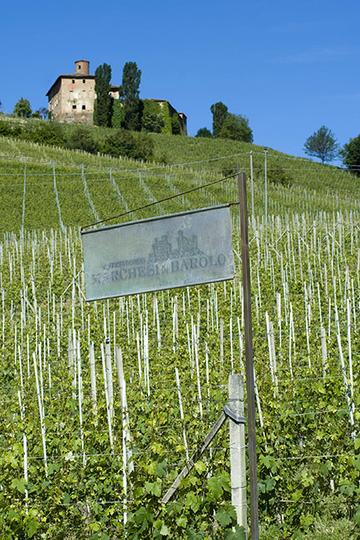 Marchesi di Barolo