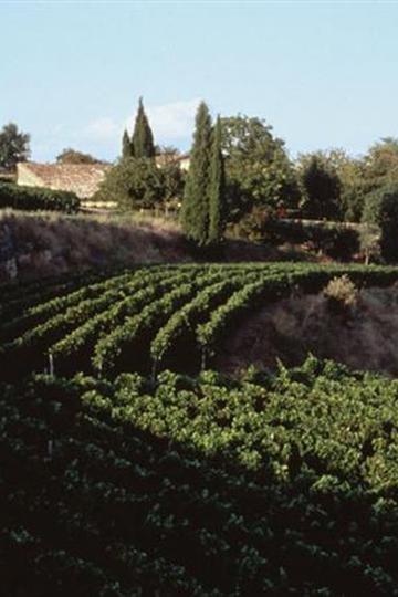 Château Tertre Roteboeuf