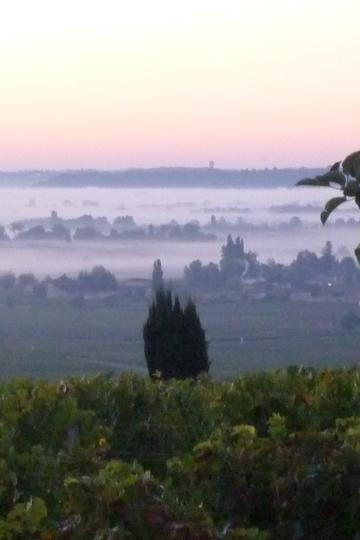 Château Tertre Roteboeuf