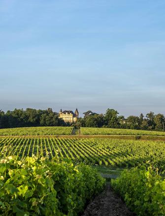 Château de Rayne Vigneau