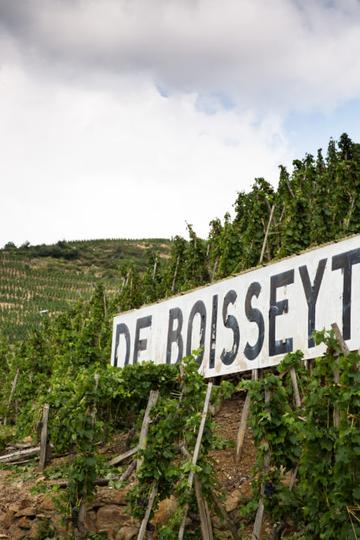 Domaine de Boisseyt