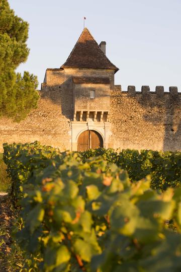 Château d'Yquem