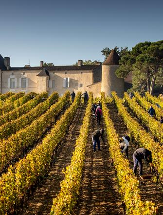 Château d'Yquem