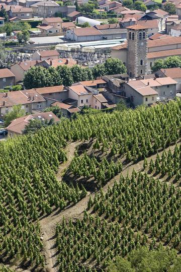 Domaine Stéphane Ogier