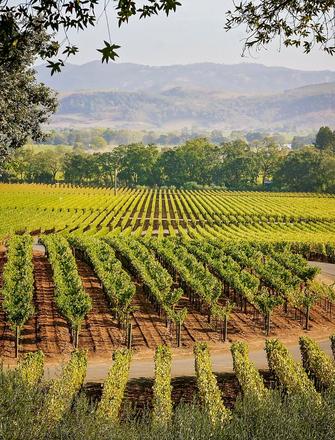 Staglin Family Vineyard