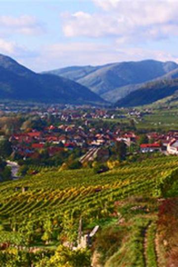 Emmerich Knoll