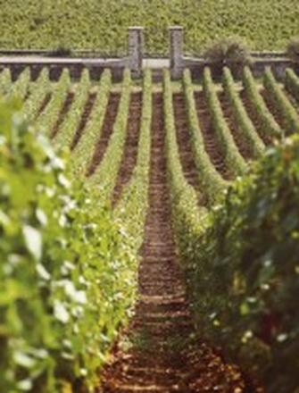 Domaine Bouchard Père & Fils