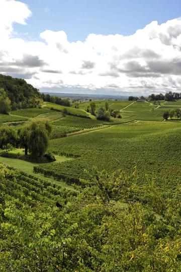 Château Barde-Haut