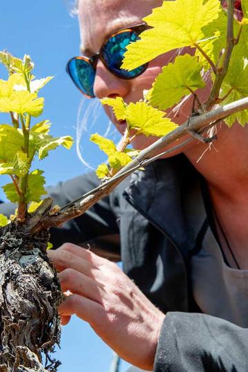 Domaine Bruno Clair