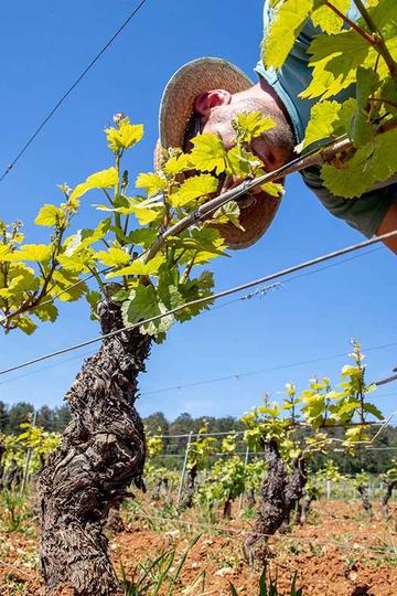 Domaine Bruno Clair