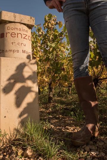 Domaine Bruno Lorenzon