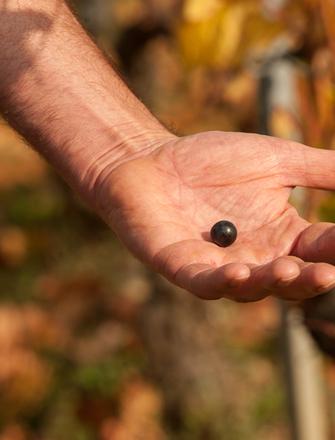 Domaine Bruno Lorenzon