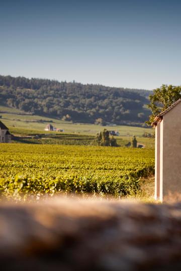 Domaine Faiveley