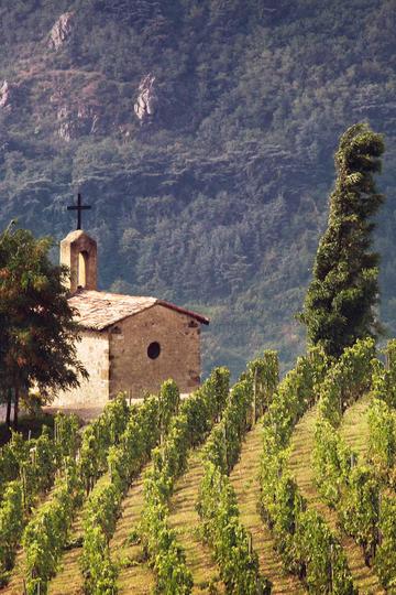 Domaine Paul Jaboulet Ainé