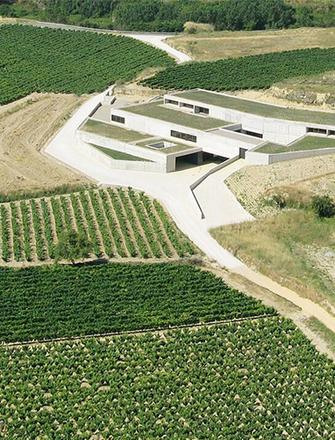 Bodega Contador
