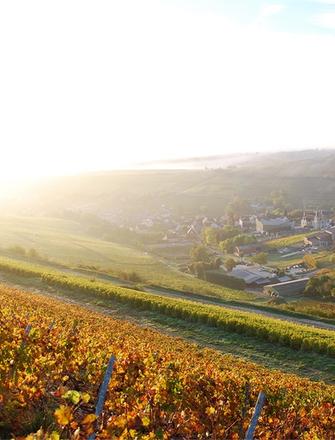 Domaine Henri Bourgeois