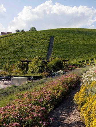 Marchesi di Gresy