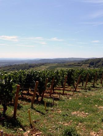 Domaine François Lumpp