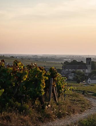 Domaine Parent