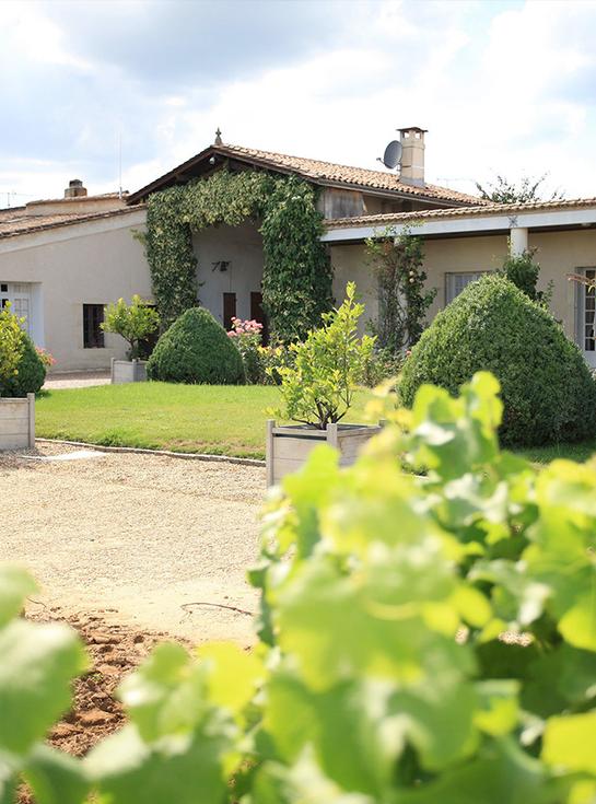 Château Doisy-Daëne