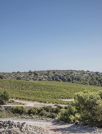 Domaine Gérard Bertrand