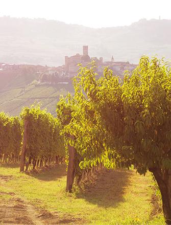 Poderi Gianni Gagliardo