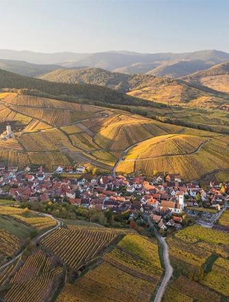 Domaine Marcel Deiss