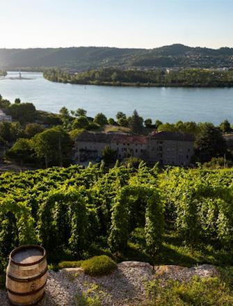 Domaine Bott