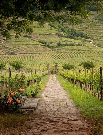 Domaine Weinbach