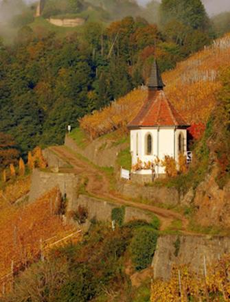 Domaine Zind-Humbrecht
