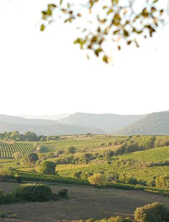 Domaine Les Aurelles
