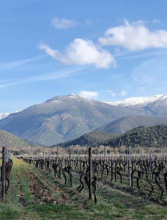 Clos Venturi