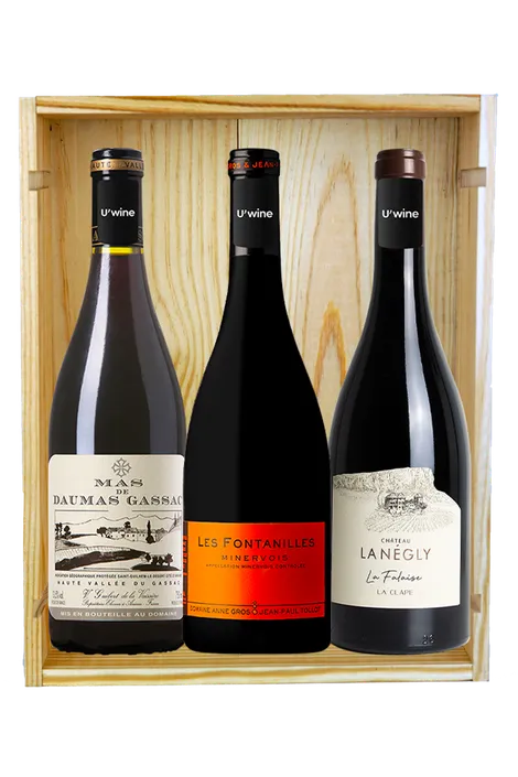 "Languedoc Lover"