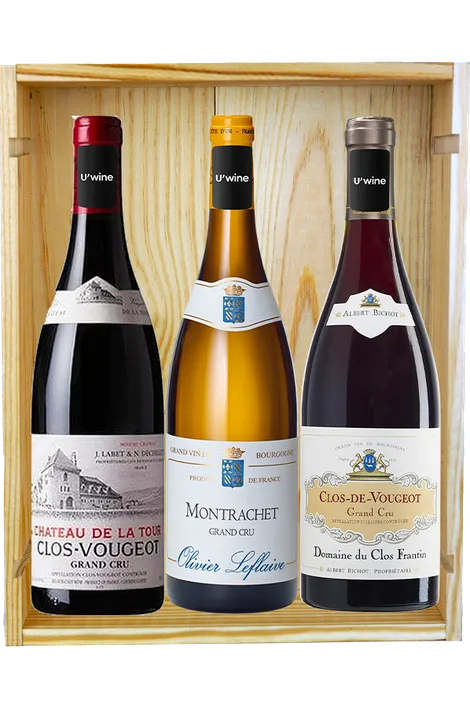 2015 Burgundy Prestige 
