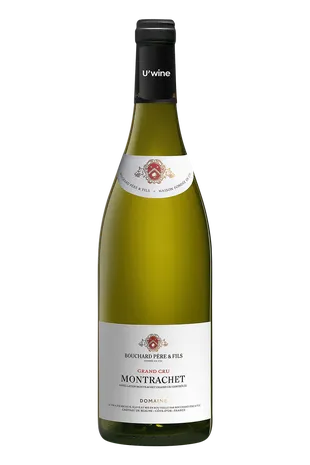 Domaine Bouchard Père & Fils Montrachet - Blanc 2019