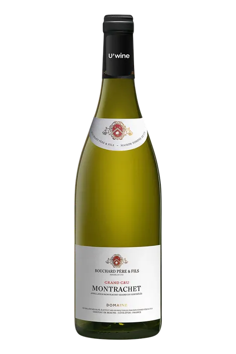 Domaine Bouchard Père & Fils Montrachet - White 2019