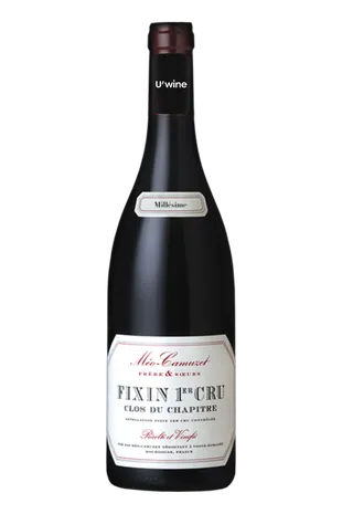 Domaine Méo-Camuzet Fixin 1er Cru - Clos du chapitre 2021