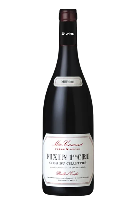 Domaine Méo-Camuzet Fixin 1er Cru - Clos du chapitre 2021