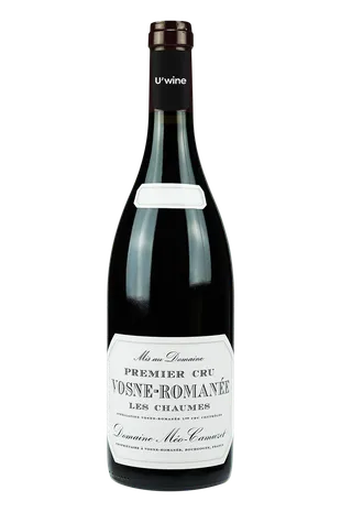 Domaine Méo-Camuzet Vosne-Romanée 1er Cru Les Chaumes 2016