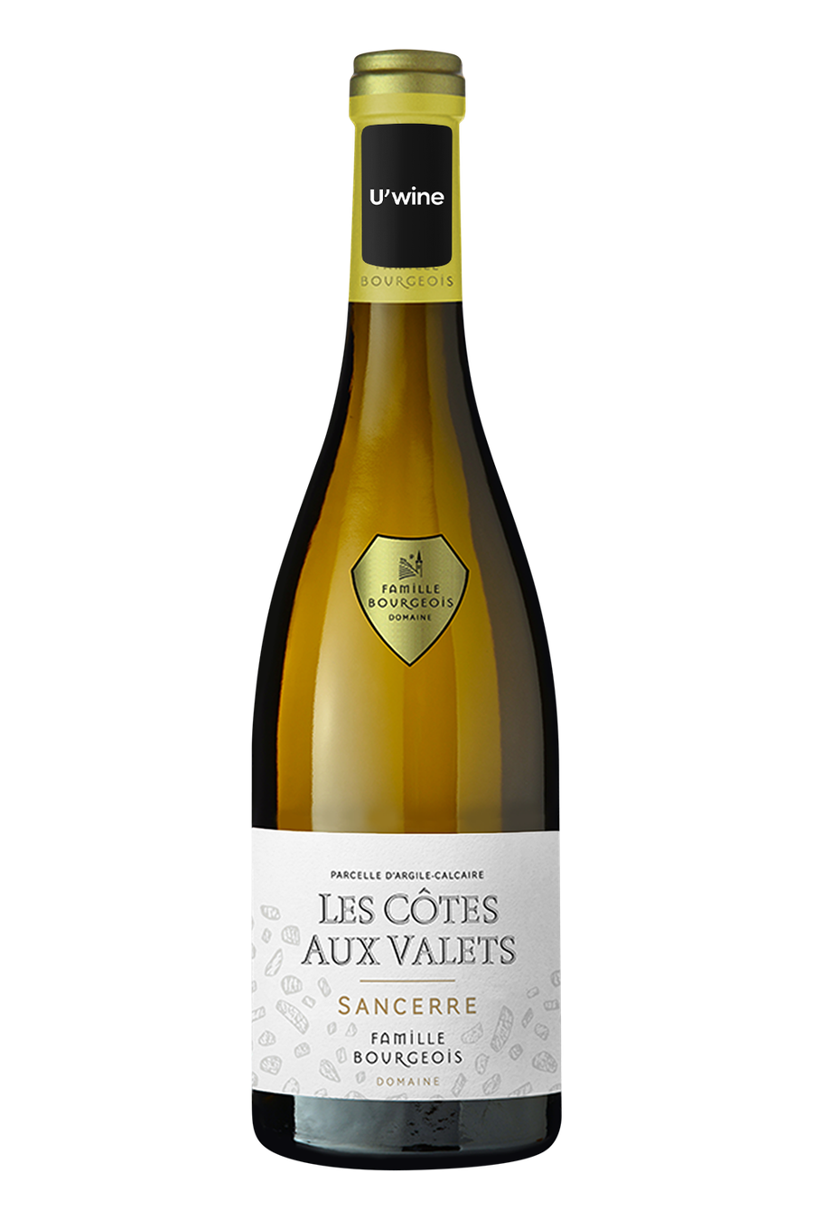 Henri Bourgeois Sancerre Les Côtes Aux Valets - White 2016