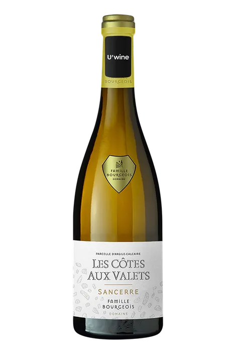 Henri Bourgeois Sancerre Les Côtes Aux Valets - Blanc 2018