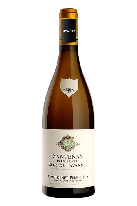Remoissenet Père & Fils Santenay 1er Cru Clos de Tavannes - Blanc 2017