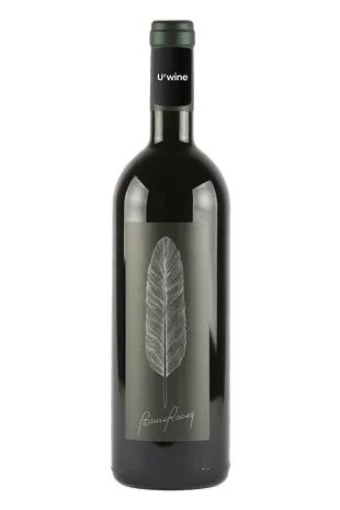 Bruno Rocca Barbaresco Maria Adelaide 2019