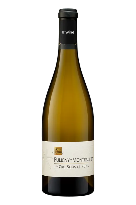 Olivier Merlin Puligny-Montrachet 1er Cru - Sous les Puits - Blanc 2016