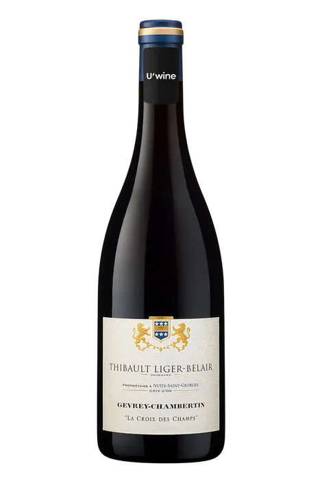 Thibault Liger-Belair Gevrey-Chambertin La Croix des Champs 2019