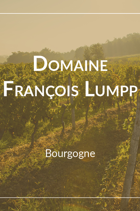 Domaine François Lumpp Givry 1er Cru Le Pied du Clou 2022