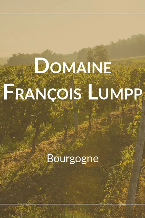 Domaine François Lumpp Givry 1er Cru Le Pied du Clou 2020