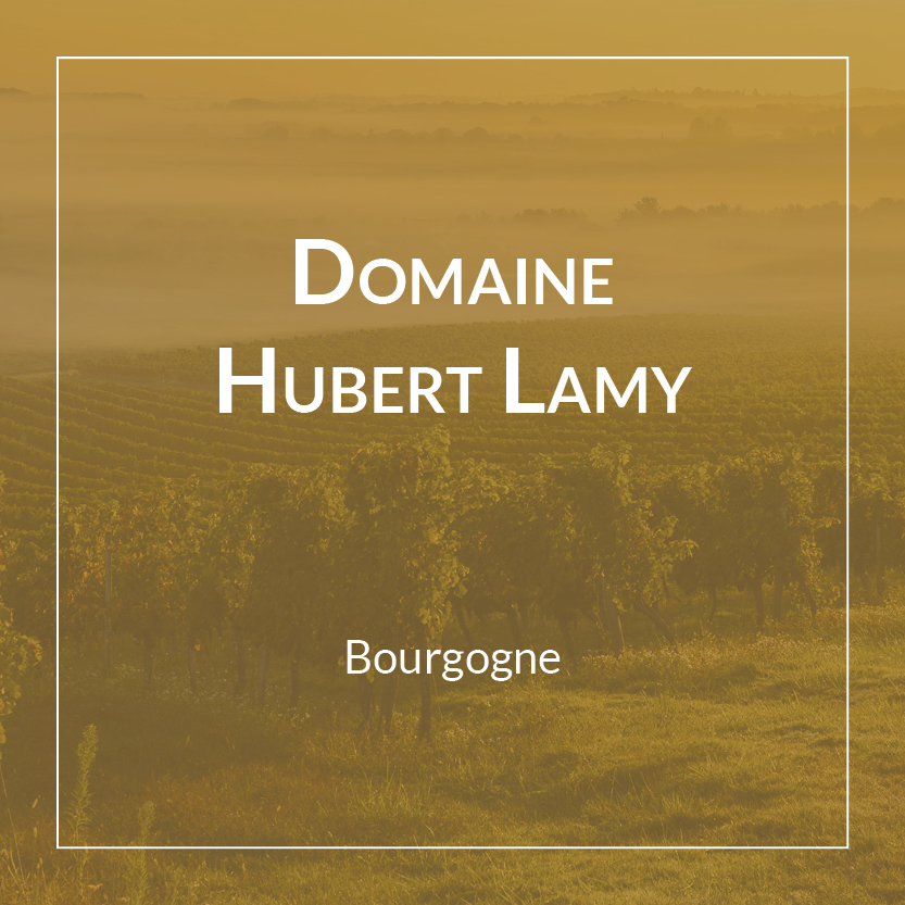 Domaine Hubert Lamy Chassagne-Montrachet Le Concis du Champ - Blanc 2021