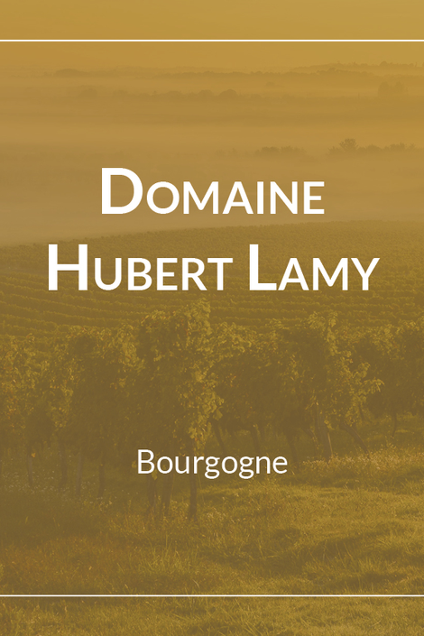 Domaine Hubert Lamy Chassagne-Montrachet Le Concis du Champ - Blanc 2021