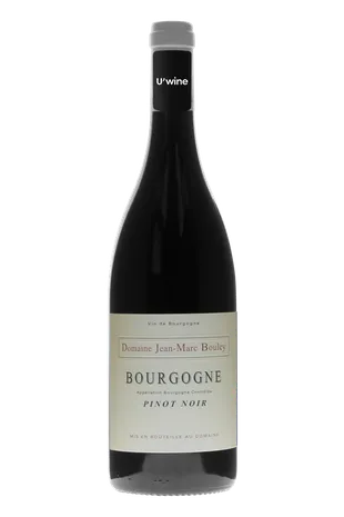Domaine Jean-Marc et Thomas Bouley Bourgogne Côte d'Or Pinot Noir 2019
